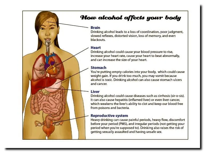 Chart showing how alcohol affects the body. 